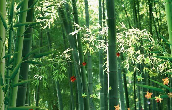 大自然沁人心脾的新鮮空氣，在家也能呼吸到