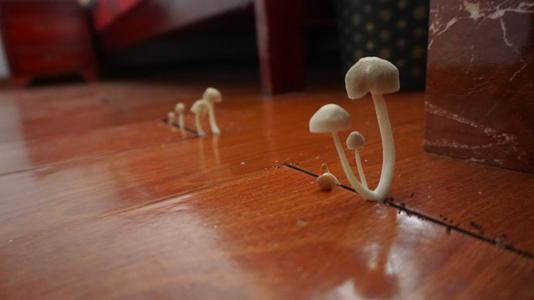 潮濕的地下室對人體有哪些危害？